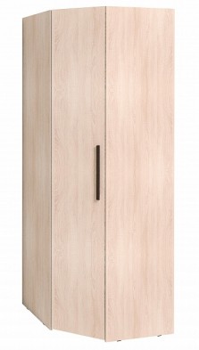 Шкаф для одежды угловой 12 Bauhaus в Олёкминске - mebel154.com