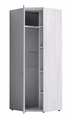 Шкаф для одежды угловой 56-2 Paola в Олёкминске - mebel154.com