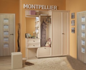 Шкаф для прихожей МЦН 2 Montpellier в Олёкминске - mebel154.com