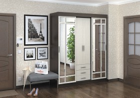 Шкаф-купе Фаворит в Олёкминске - mebel154.com